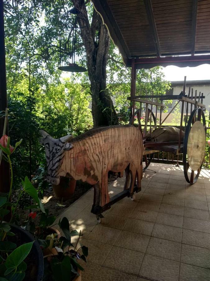 Villa Ti Kaz En Bois Sainte-Rose Esterno foto